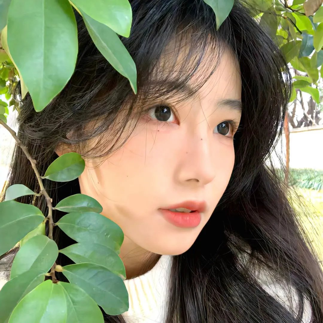 哥哥的情人